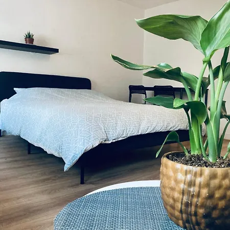 T1 Confort Aux Porte De * Strazburg